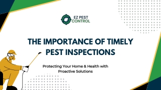 The Importance of Timely Pest Inspections