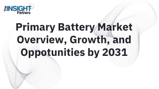 primary battery market