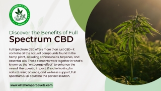 Discover the Benefits of Full Spectrum CBD