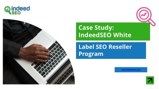 Case Study  IndeedSEO White Label SEO Reseller Program (1)