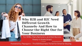 Why B2B and B2C Need Different Growth Channels - How SMEs Can Avoid the One-Size-Fits-All Trap