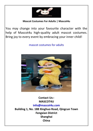 Mascot Costumes For Adults  Mascot4u