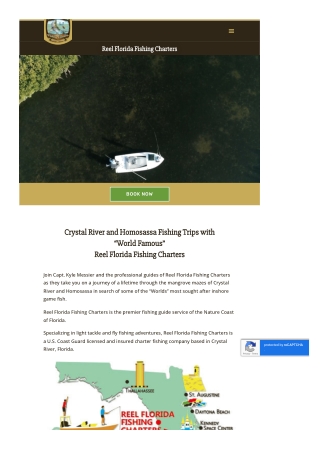 Crystal River Charter Boat