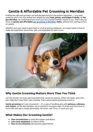 Gentle & Affordable Pet Grooming in Meridian