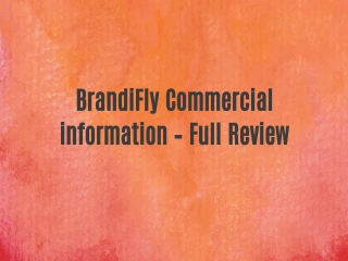 BrandiFly Commercial information – Full Review