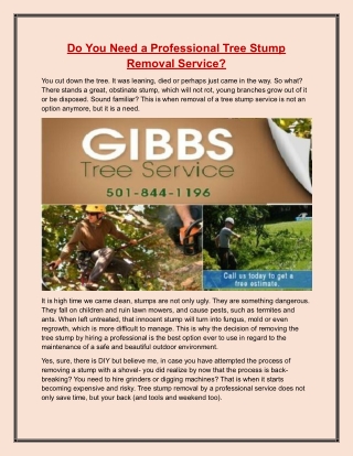 Do You Need a Professional Tree Stump Removal Service?