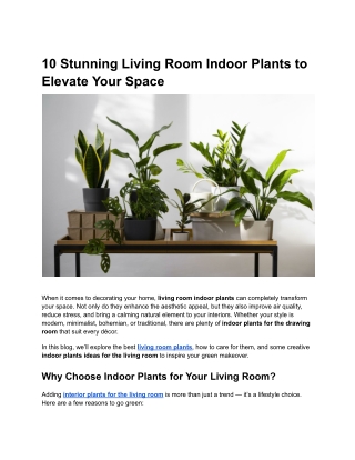 10 Stunning Living Room Indoor Plants to Elevate Your Space