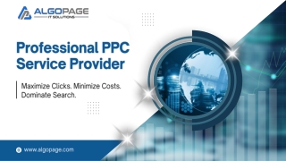 Professional PPC service provider
