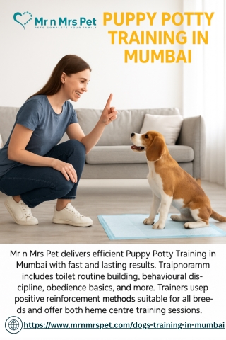 Puppy Potty Training in Mumbai