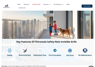 thirumalasafetynets_com_invisible-grills_