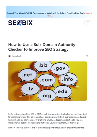Domain Authority Checker Tool