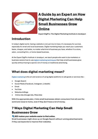 A Guide by an Expert on How Digital Marketing Can Help Small Businesses Grow Online