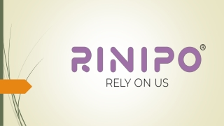 Work Without Pain Rinipo’s Seating & Back Support Innovations