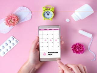 Menstrual Cycle