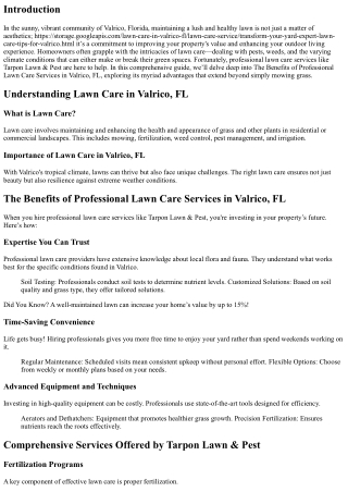 The Benefits of Professional Lawn Care Services in Valrico, FL
