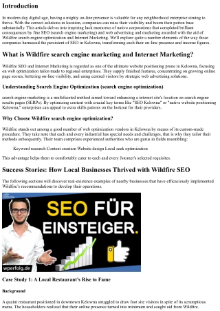 “Success Stories: How Local Businesses Thrived with Wildfire search engine optim