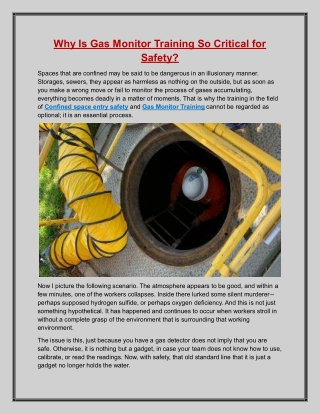 Why Is Gas Monitor Training So Critical for Safety?