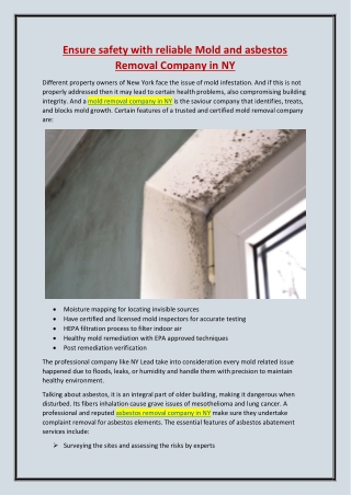 Ensure safety with reliable Mold and asbestos Removal Company in NY