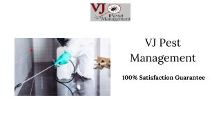 Top-rated Exterminator Services Manhattan - VJ Pest Management