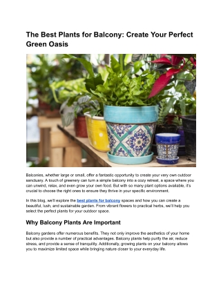 The Best Plants for Balcony_ Create Your Perfect Green Oasis