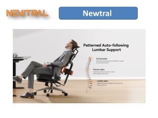 Why the Newtral NT002 Is the Best Home Office Chair with Lumbar Support