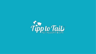 Expert Pet Training Services in Troy, OH
