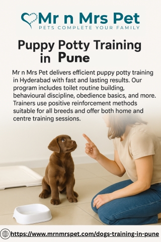 Puppy Potty Training in Pune
