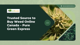 Trusted Source to Buy Weed Online Canada – Pure Green Express