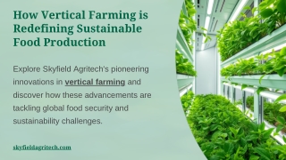 How-Vertical-Farming-is-Redefining-Sustainable-Food-Production