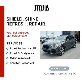 meticulous pdf Paint Protection Film, Scratch & Odor Removal, and Expert Bodywork