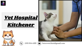 Vet Hospital Kitchener for Quality Pet Care | Veterinarians Kitchener