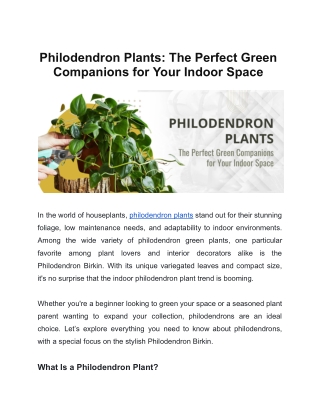 Philodendron Plants: The Perfect Green Companions for Your Indoor Space