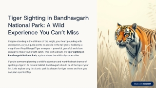 tiger sighting in bandhavgarh national park