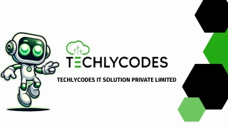 TechlyCodes: Global Experts in NetSuite ERP, CRM, and SuiteCommerce Implement