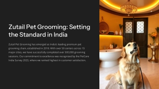 Best Pet Grooming at Home in Tamil Nadu | Pet spa at home