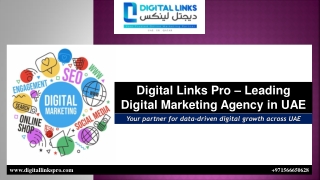 Digital Links Pro – Leading Digital Marketing Agency in UAE