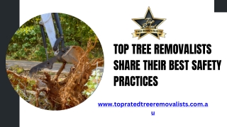 Top Tree Removalists Share Their Best Safety Practices