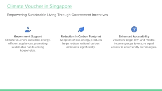 Empowering Sustainable Living Through Government Incentives