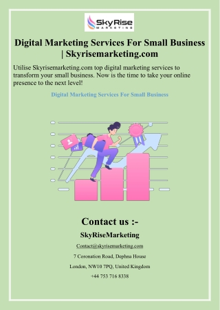 Digital Marketing Services For Small Business Skyrisemarketing.com