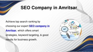 SEO Company in Amritsar