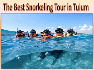 The Best Snorkeling Tour in Tulum
