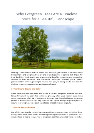 Why Evergreen Trees Are a Timeless Choice for a Beautiful Landscape