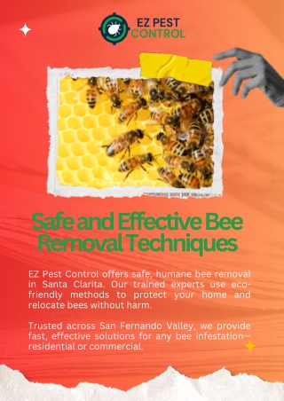 Safe and Effective Bee Removal Techniques