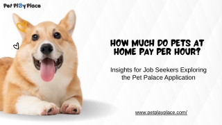 How much do Pets at Home pay per hour