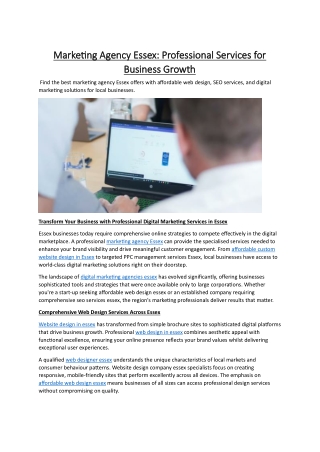 Marketing Agency Essex Professional Services for Business Growth