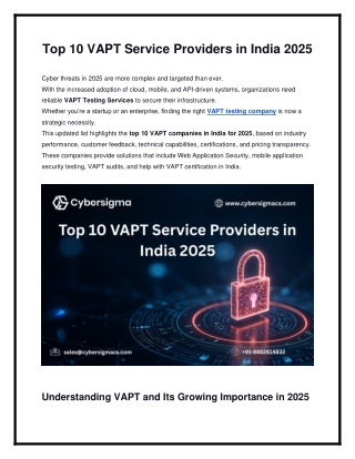 vapt testing company