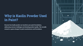 The-Unsung-Hero-Kaolin-Powder-in-Paint-Formulations