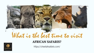 What is the best time to visit African safaris?