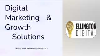 Digital Marketing & Growth Solutions