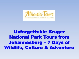 Unforgettable Kruger National Park Tours from Johannesburg